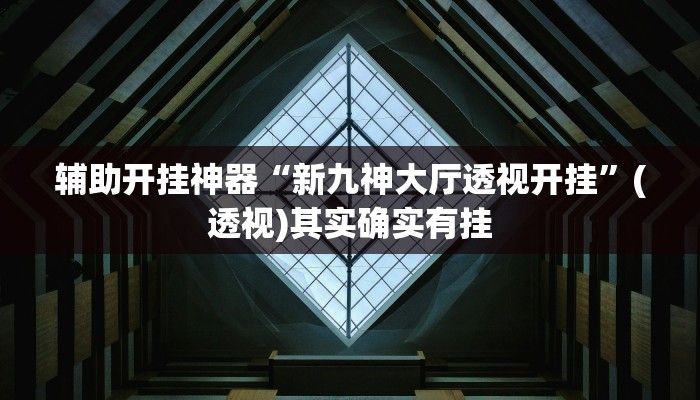辅助开挂神器“新九神大厅透视开挂”(透视)其实确实有挂