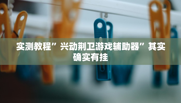实测教程”兴动荆卫游戏辅助器”其实确实有挂