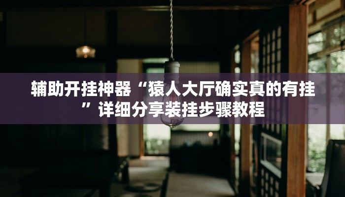 实测教程”神盾大厅开挂辅助”(透视)其实确实有挂