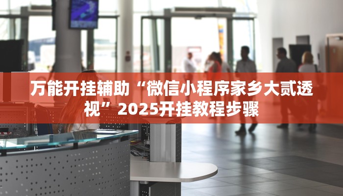 万能开挂辅助“微信小程序家乡大贰透视”2025开挂教程步骤