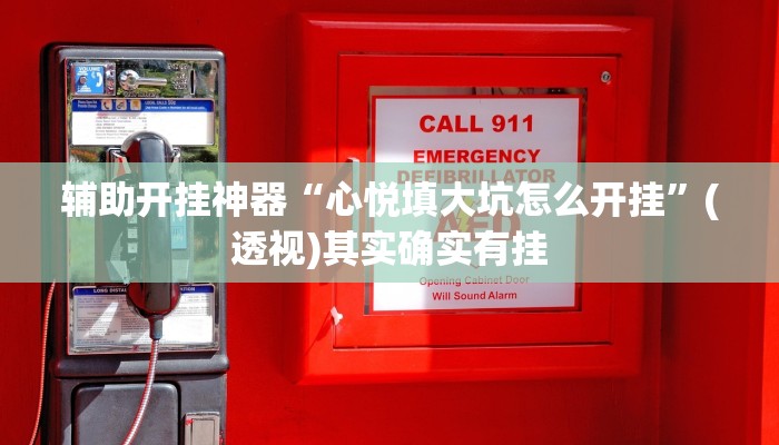 辅助开挂神器“哈哈江苏麻将开挂教程方法”(透视)其实确实有挂