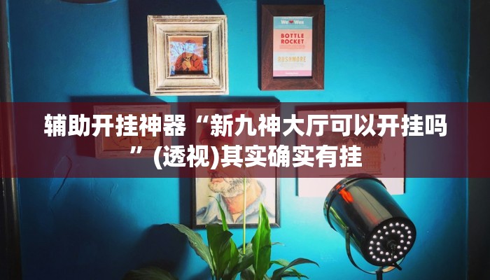 辅助开挂神器“中至窝龙辅助专用神器”(透视)其实确实有挂