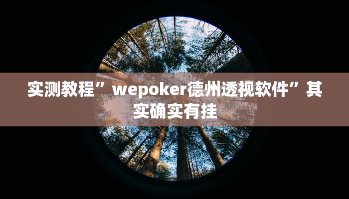 实测教程”wepoker德州透视软件”其实确实有挂