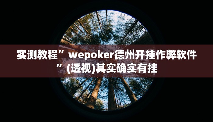实测教程”wepoker德州开挂作弊软件”(透视)其实确实有挂