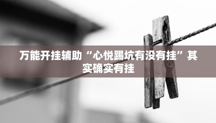 万能开挂辅助“心悦踢坑有没有挂”其实确实有挂