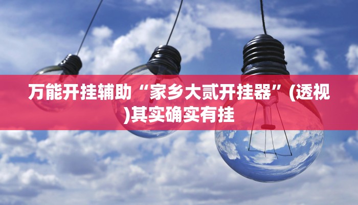 万能开挂辅助“家乡大贰开挂器”(透视)其实确实有挂
