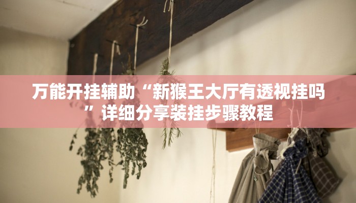 万能开挂辅助“新猴王大厅有透视挂吗”详细分享装挂步骤教程