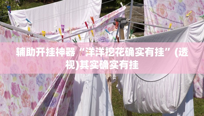 辅助开挂神器“洋洋挖花确实有挂”(透视)其实确实有挂