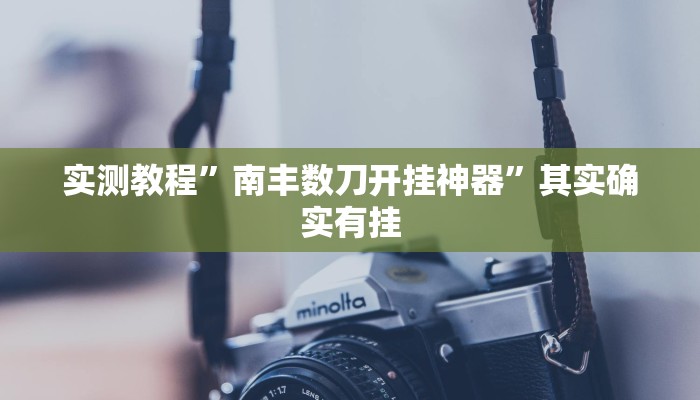实测教程”南丰数刀开挂神器”其实确实有挂