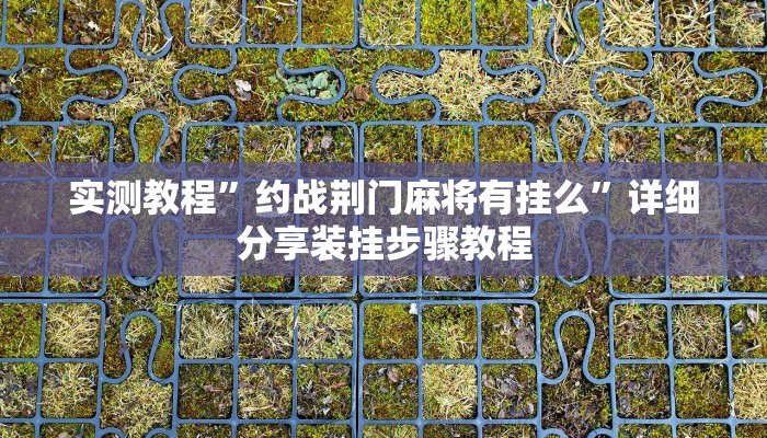 实测教程”新荣耀斗牛开挂教程 ”(透视)其实确实有挂