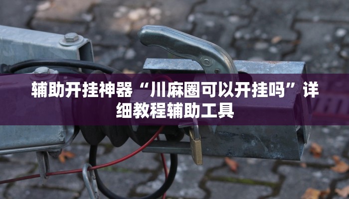 辅助开挂神器“川麻圈可以开挂吗”详细教程辅助工具