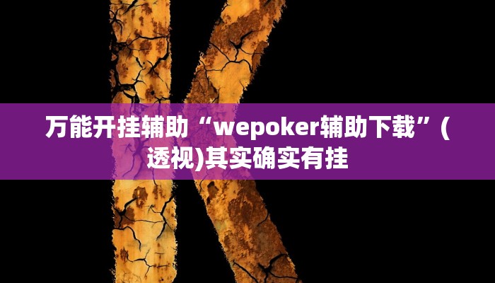 万能开挂辅助“wepoker辅助下载”(透视)其实确实有挂