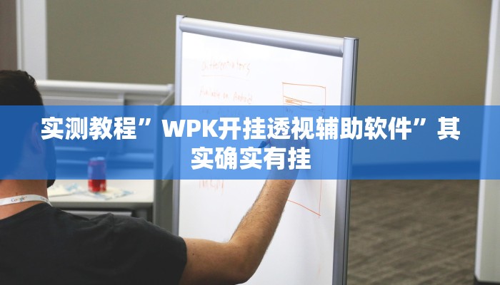 实测教程”WPK开挂透视辅助软件”其实确实有挂 实测教程”WPK开挂透视辅助软件”其实确实有挂