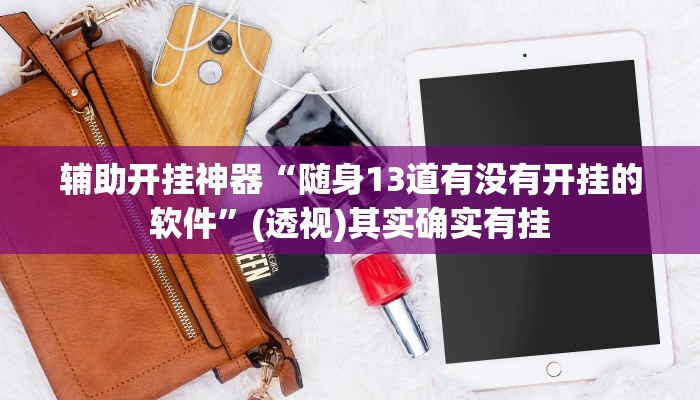 辅助开挂神器“随身13道有没有开挂的软件”(透视)其实确实有挂