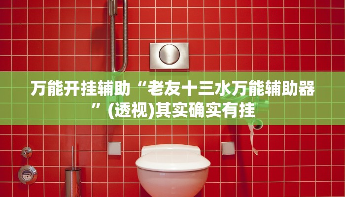 万能开挂辅助“老友十三水万能辅助器”(透视)其实确实有挂 万能开挂辅助“老友十三水万能辅助器”(透视)其实确实有挂