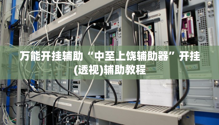 万能开挂辅助“中至上饶辅助器”开挂(透视)辅助教程