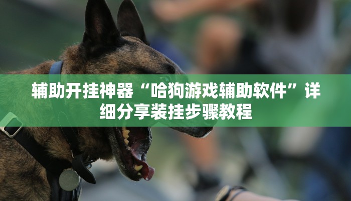 辅助开挂神器“哈狗游戏辅助软件”详细分享装挂步骤教程