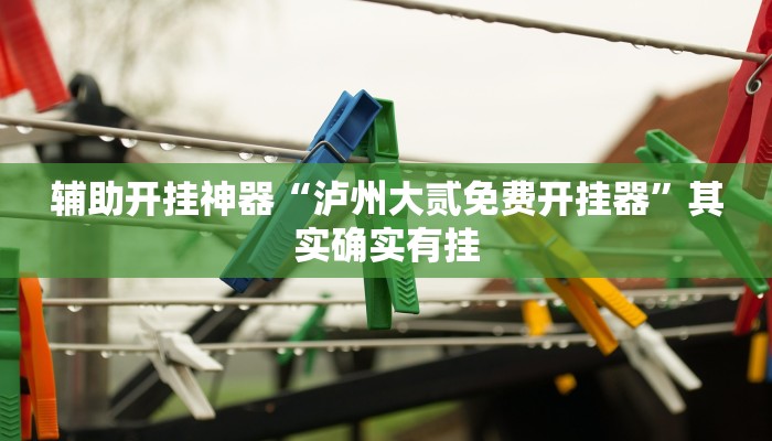 辅助开挂神器“泸州大贰免费开挂器”其实确实有挂 辅助开挂神器“泸州大贰免费开挂器”其实确实有挂