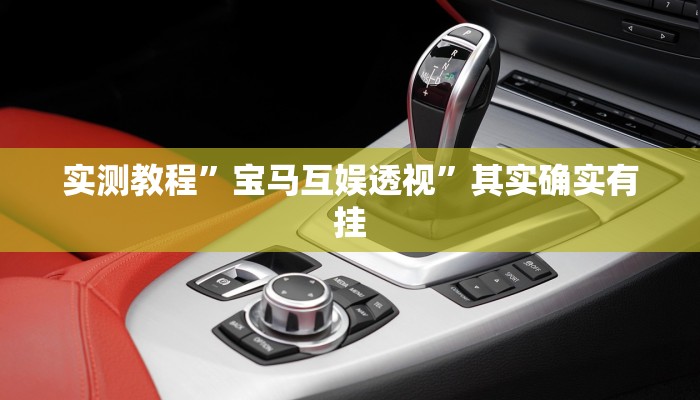 实测教程”宝马互娱透视”其实确实有挂