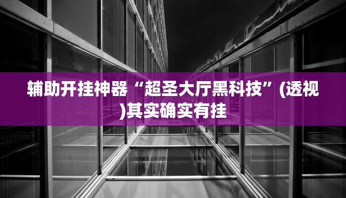 辅助开挂神器“超圣大厅黑科技”(透视)其实确实有挂