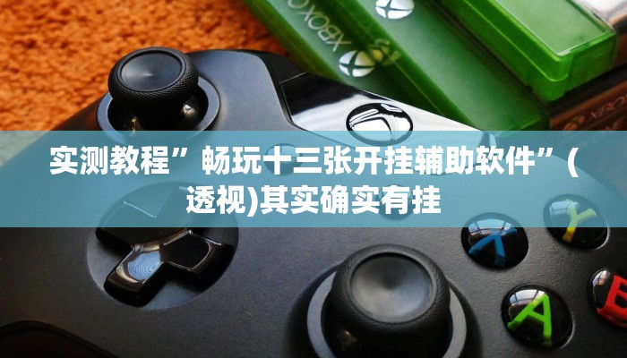 实测教程”畅玩十三张开挂辅助软件”(透视)其实确实有挂