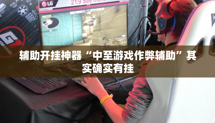 辅助开挂神器“中至游戏作弊辅助”其实确实有挂